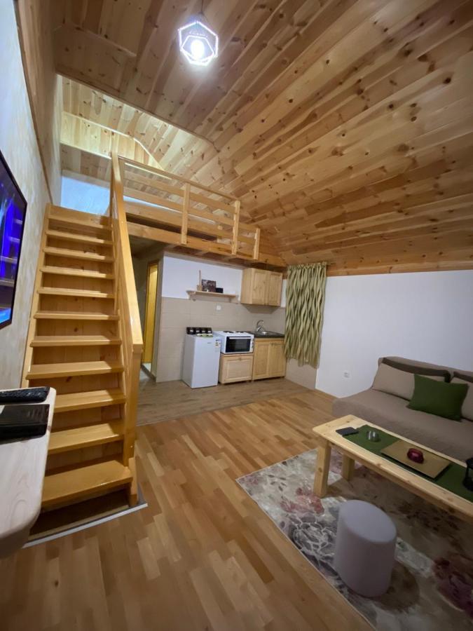 Apartmani Vuk 1 コラシン エクステリア 写真