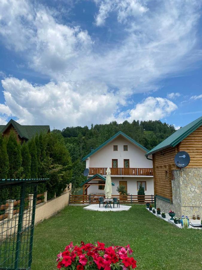 Apartmani Vuk 1 コラシン エクステリア 写真
