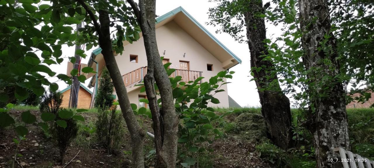 Apartmani Vuk 1 コラシン エクステリア 写真